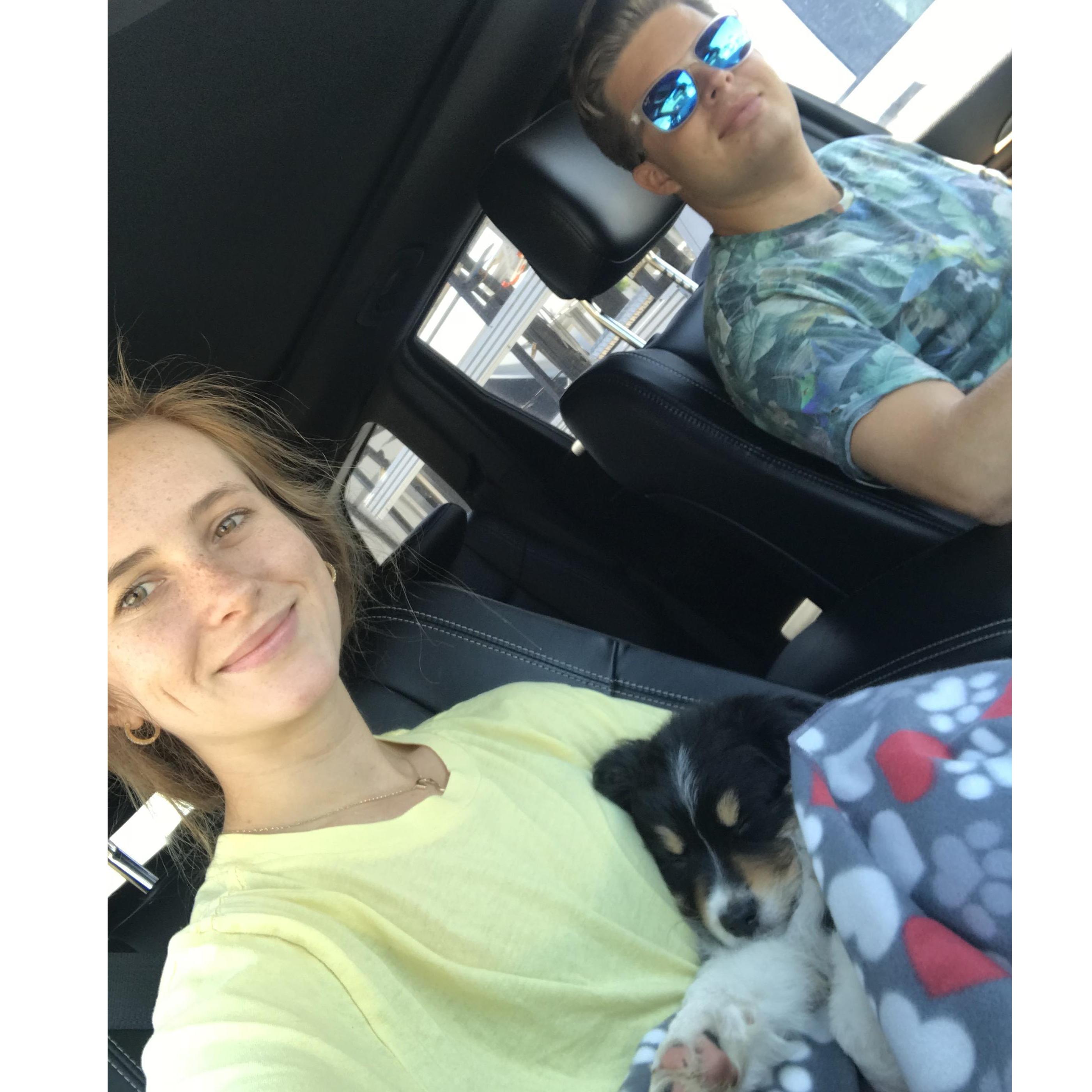 Picking up Hobbes, our first week in Utah