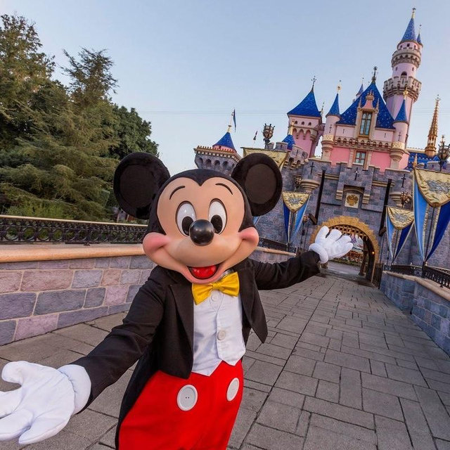 Disney World Travel Protection Insurance