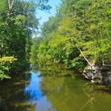 Wissahickon Valley Park