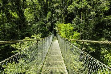 Arenal Hanging Bridges from Arenal In Costa Rica