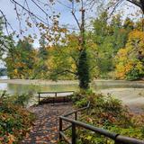 Squaxin Park