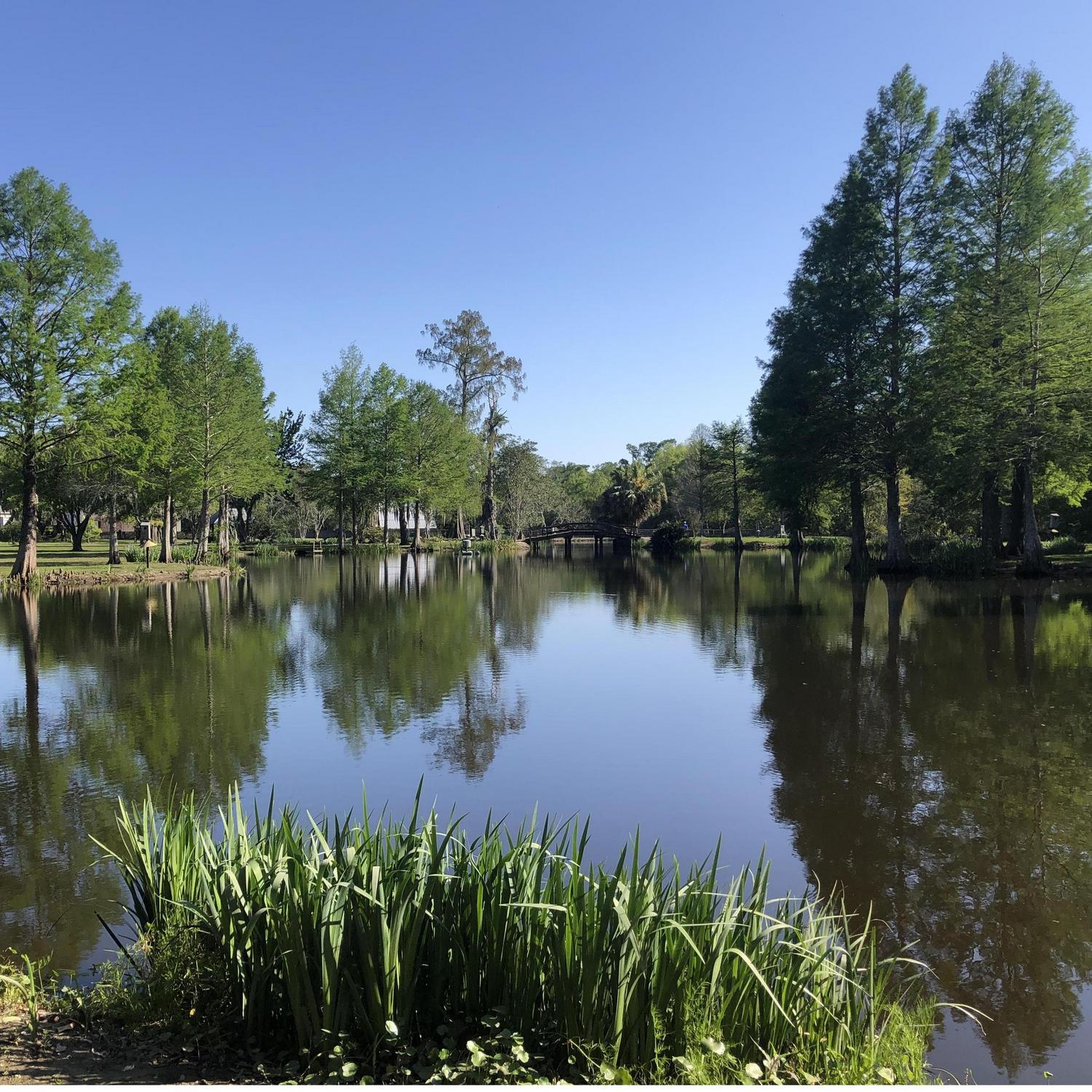 Thibodaux