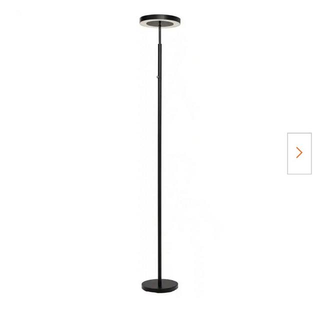 71.65 in. Black LED Floor Lamp