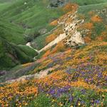 Chino Hills State Park - Chino Hills Entrance