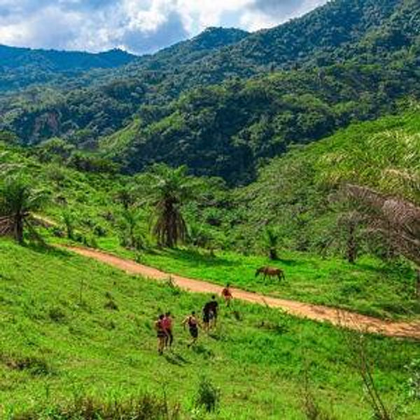 Horseback Riding in Puerto Vallarta