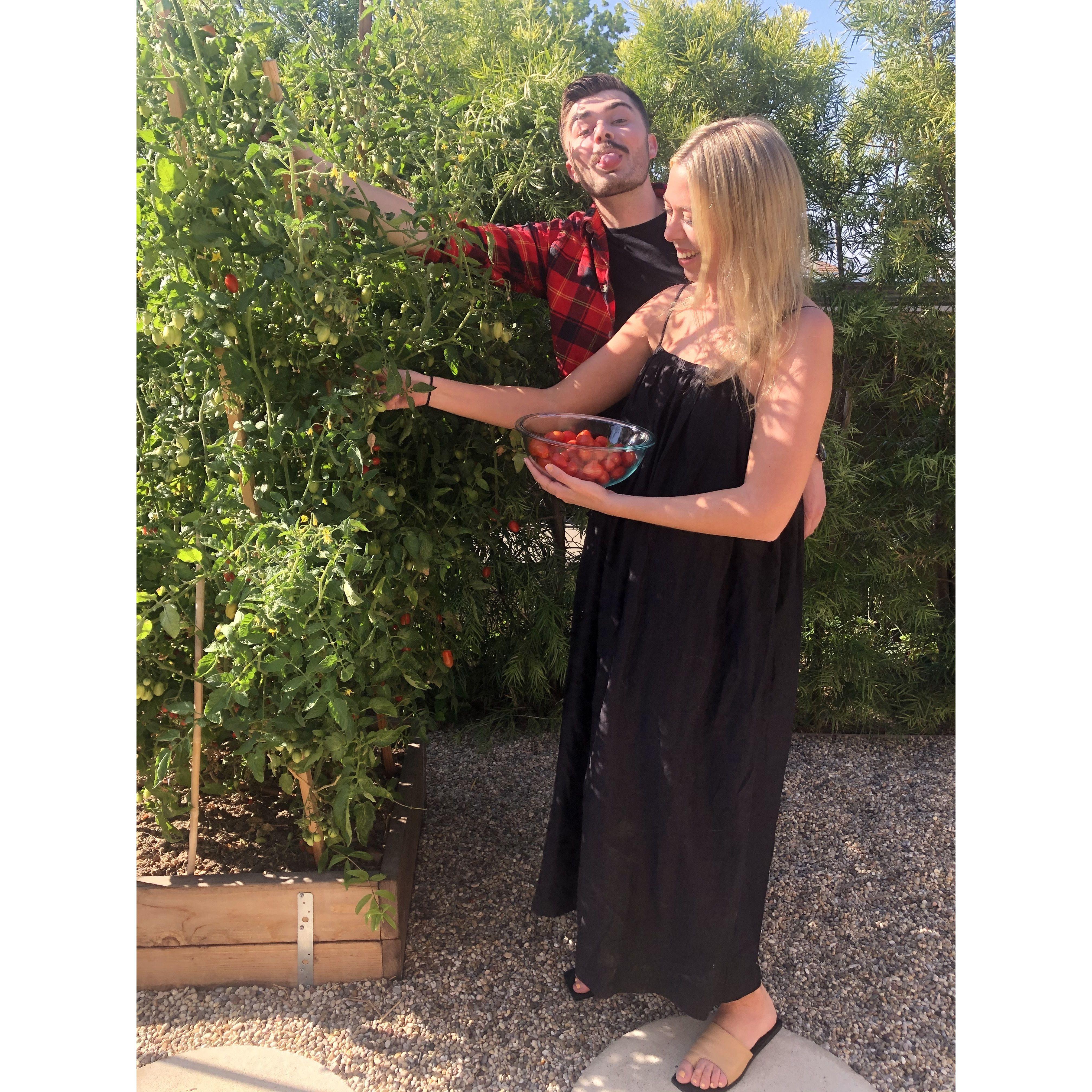 Panzanella salad in the making at Dagmar's!