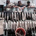 C&T Bay Charters