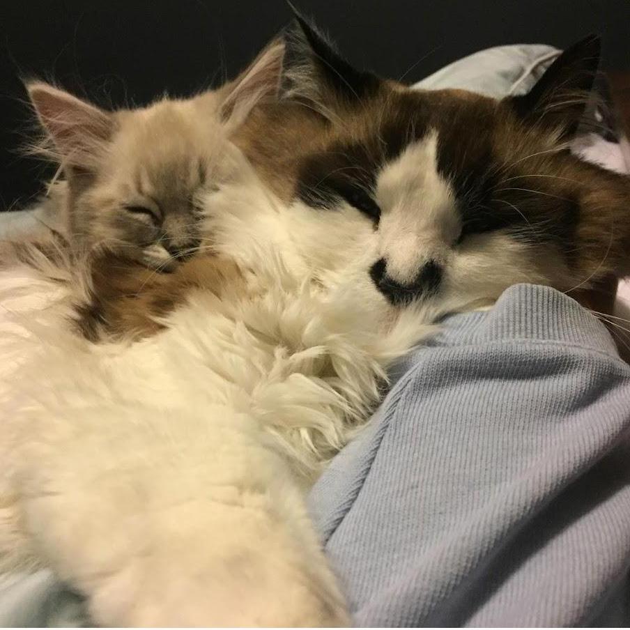 our best friend, Bruce and baby Dale