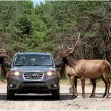 Parc Omega