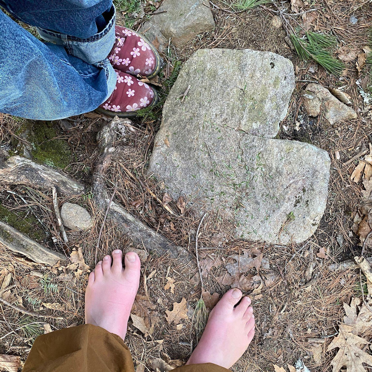 This was also on our trip to Maine, where we hiked Maiden's Cliff in Rockland.