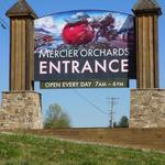 Mercier Orchards