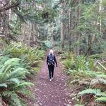 Mount Finlayson Trail