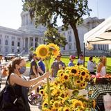 Madison Farmer's Market
