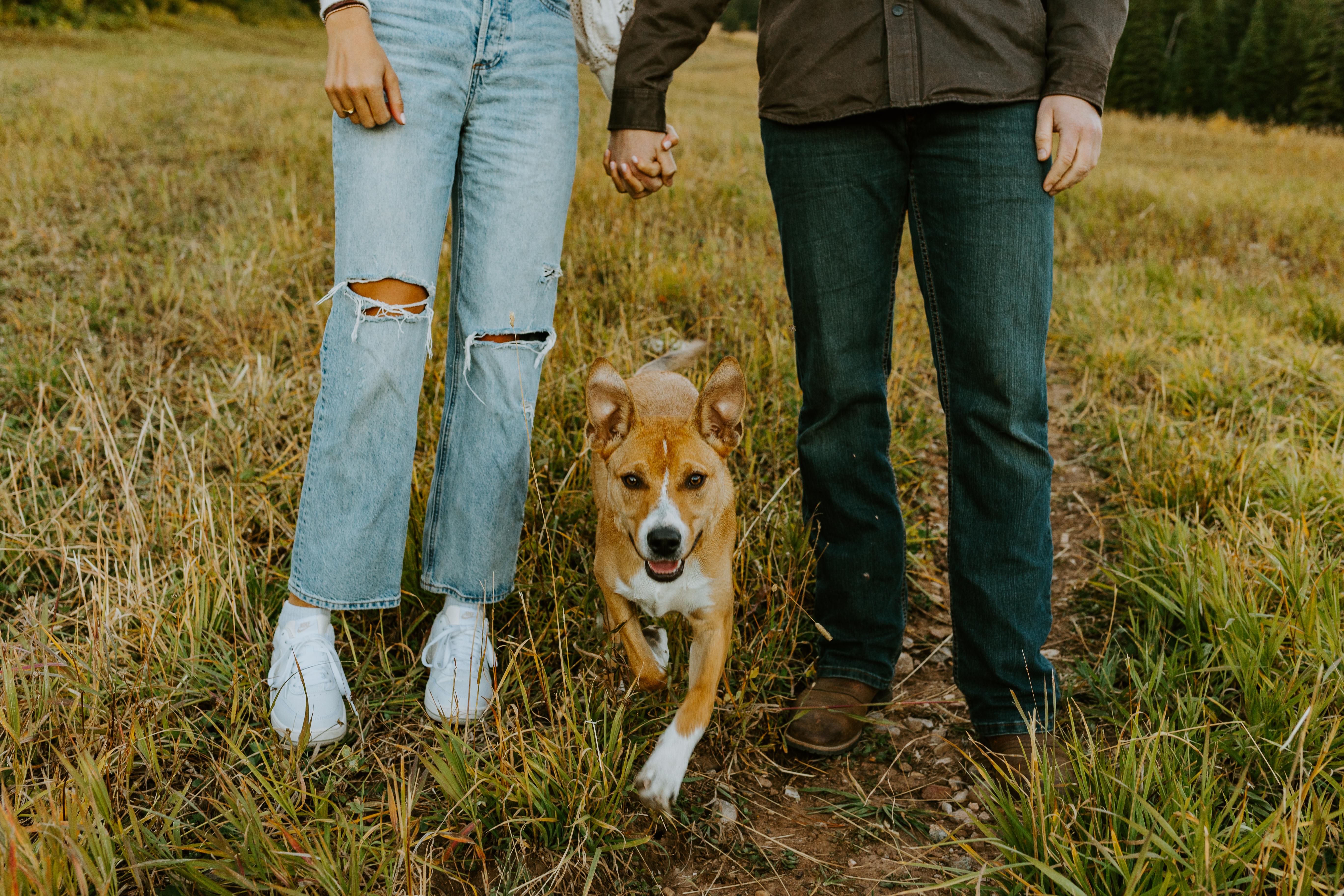The Wedding Website of Abbi Briscoe and Nate Sweet