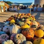 Eugster's Farm Market Inc