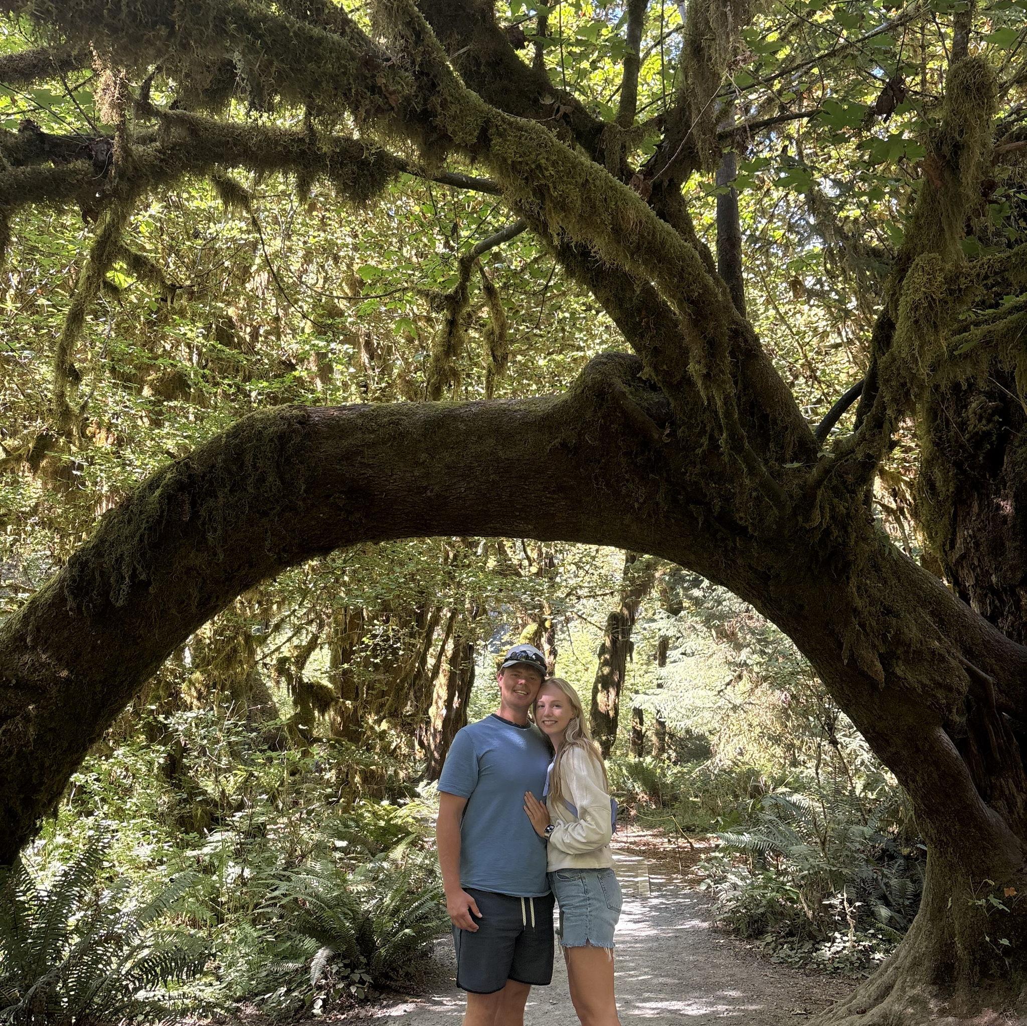 Hall of mosses, Olympic national park.