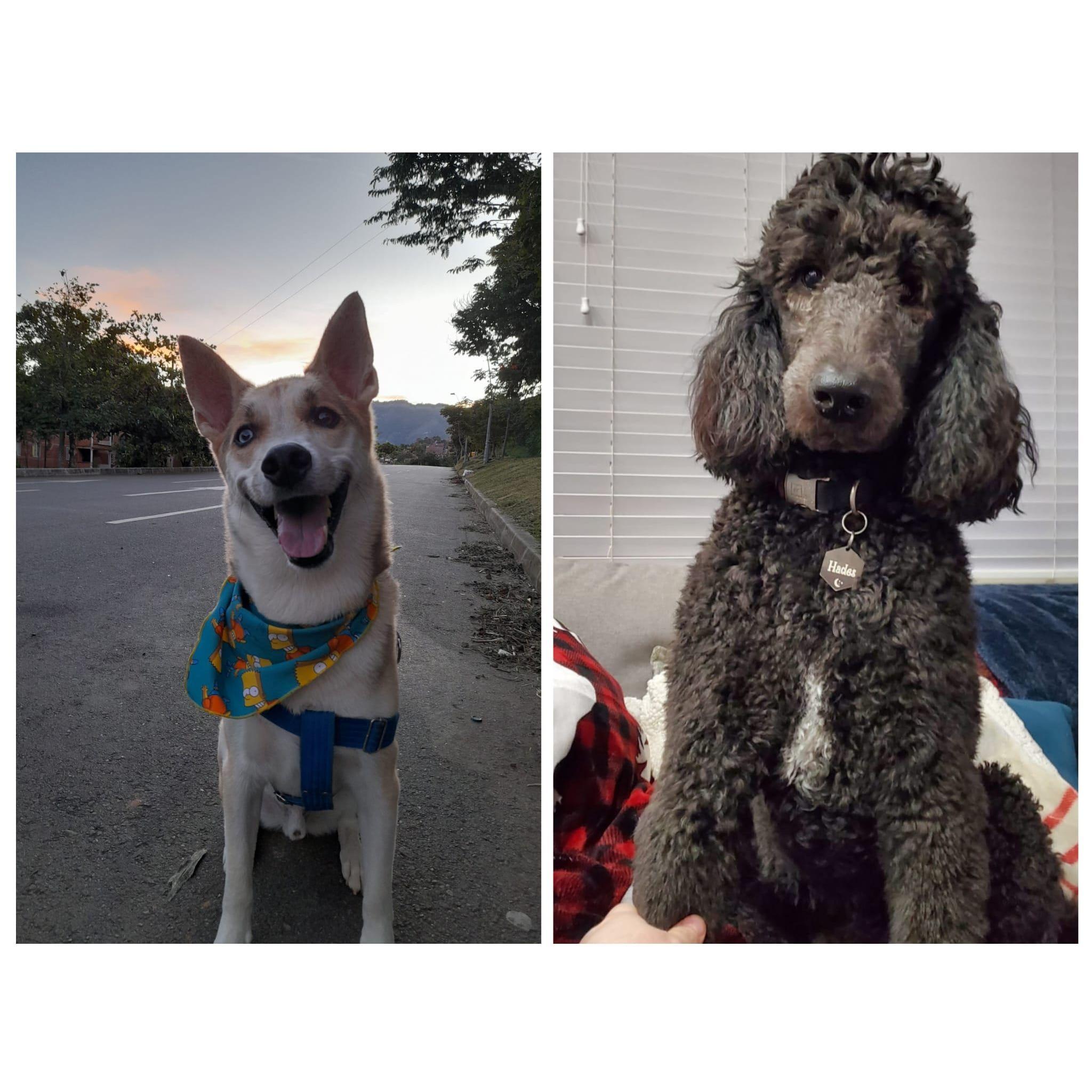 Our babies.