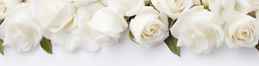 f0a5e48f-5a43-4a41-8e80-88d891d31aff