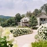 Pippin Hill Farm & Vineyards
