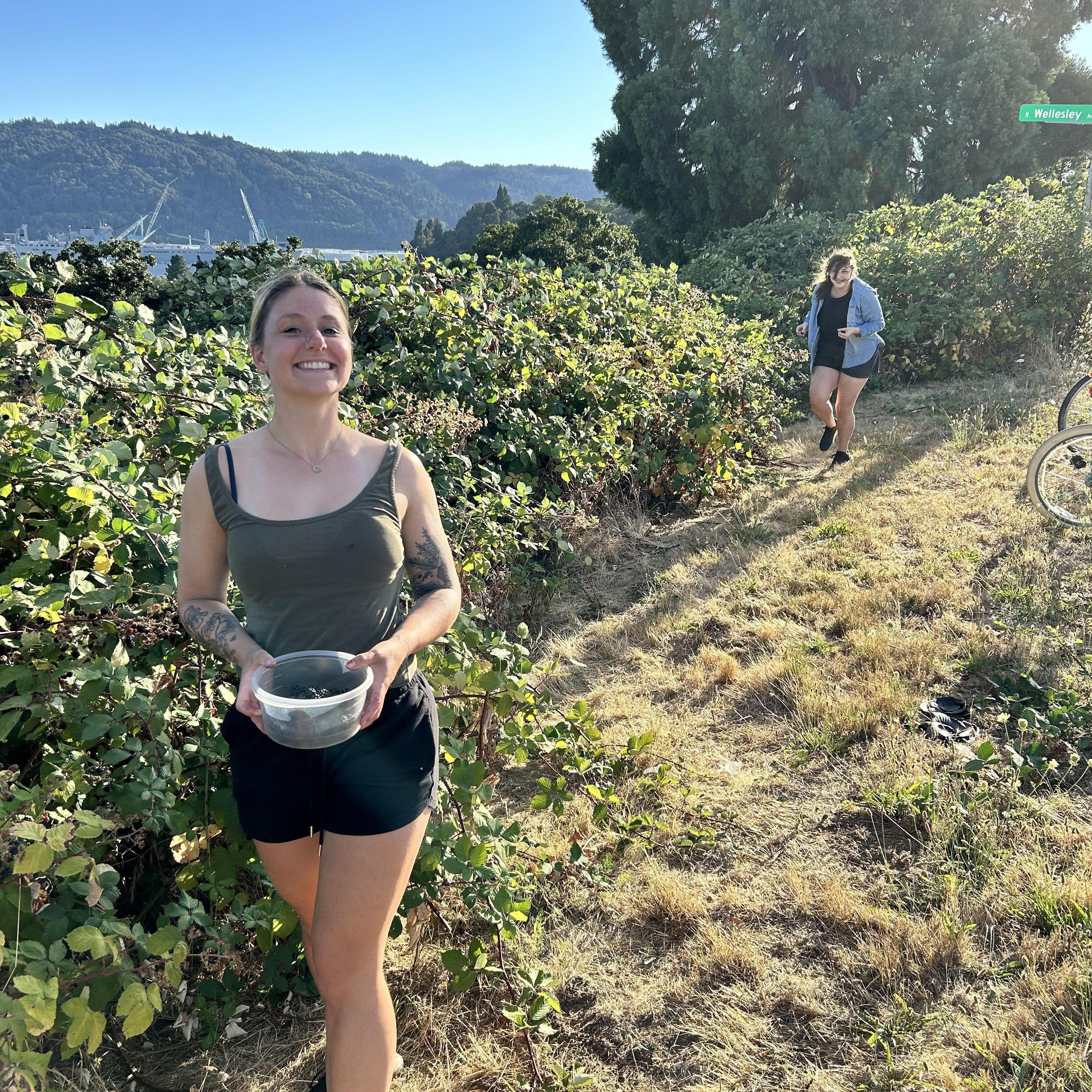 Willamette Blvd berry picking!