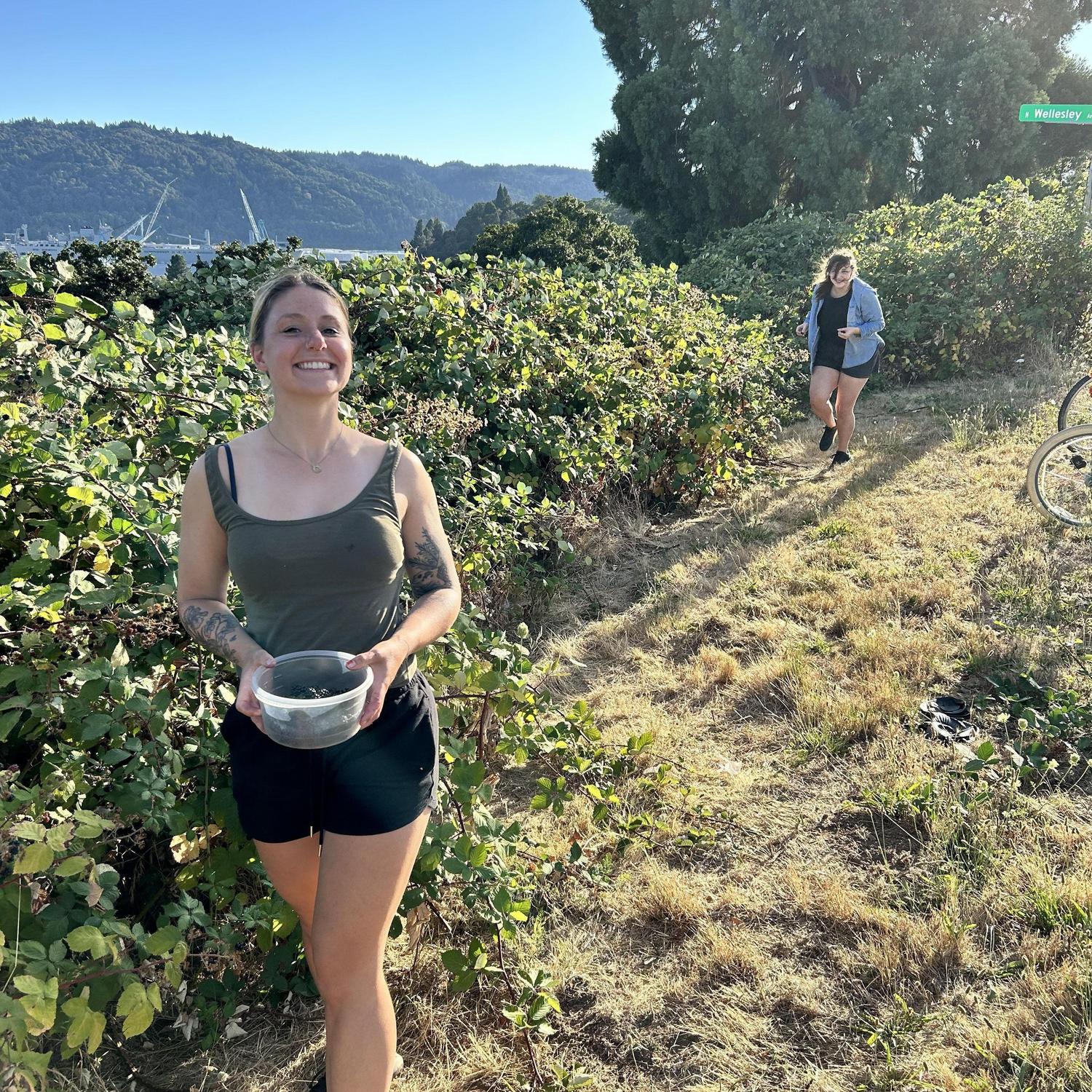 Willamette Blvd berry picking!
