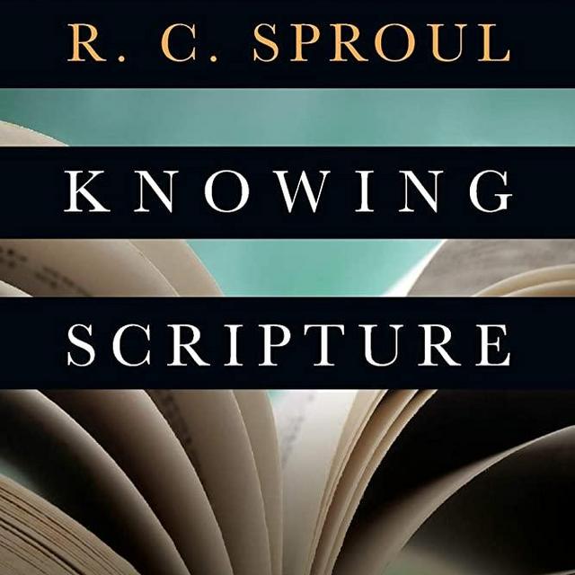 Knowing Scripture