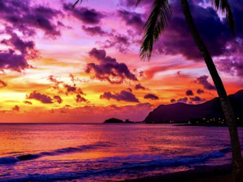 Honeymoon Hotel Stay in Waikiki