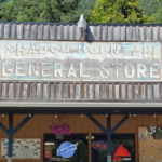 Shadow Mountain General Store