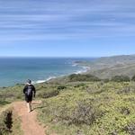 Andrew Molera State Park