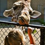 NEW Zoo & Adventure Park