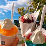 Sno-To-Go