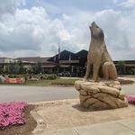Great Wolf Lodge Water Park | Georgia