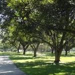 Pecan Park West