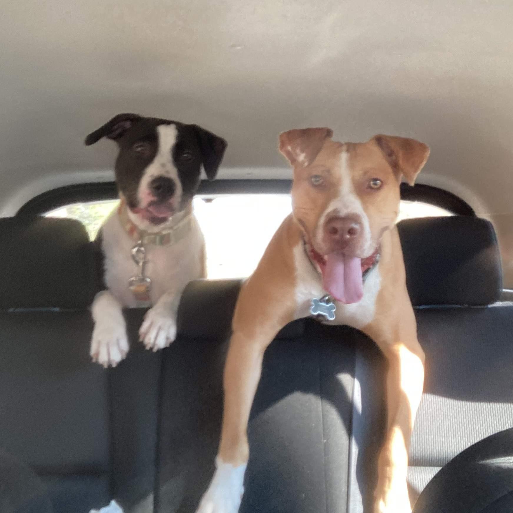 Luke & Lana doing their favorite thing - going on a ride!