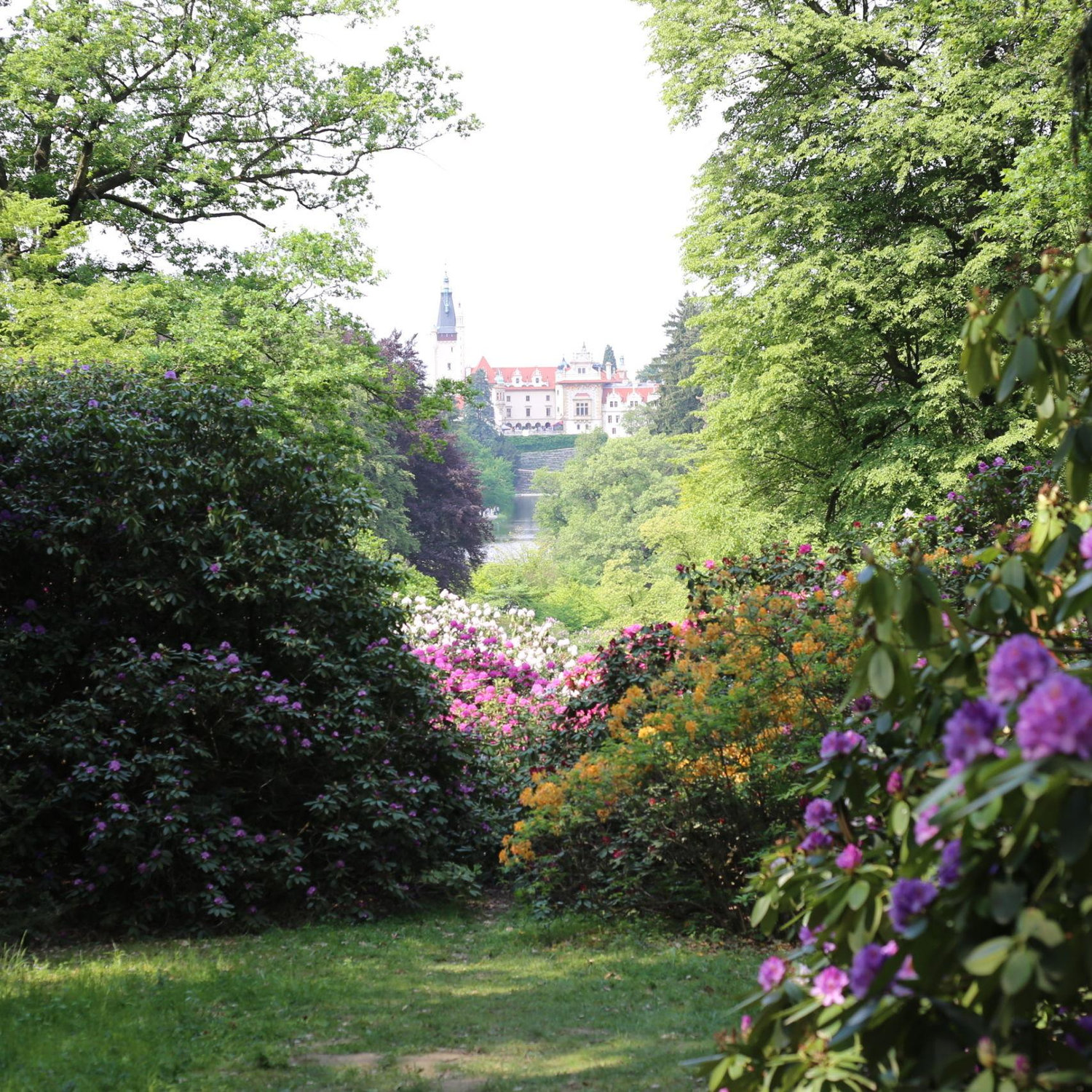 Photos of the park and chateau where our wedding will be.