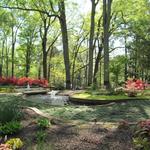 Glencairn Garden
