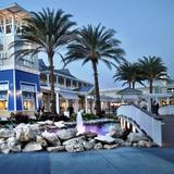 Tampa Premium Outlets