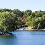 Jamaica Pond