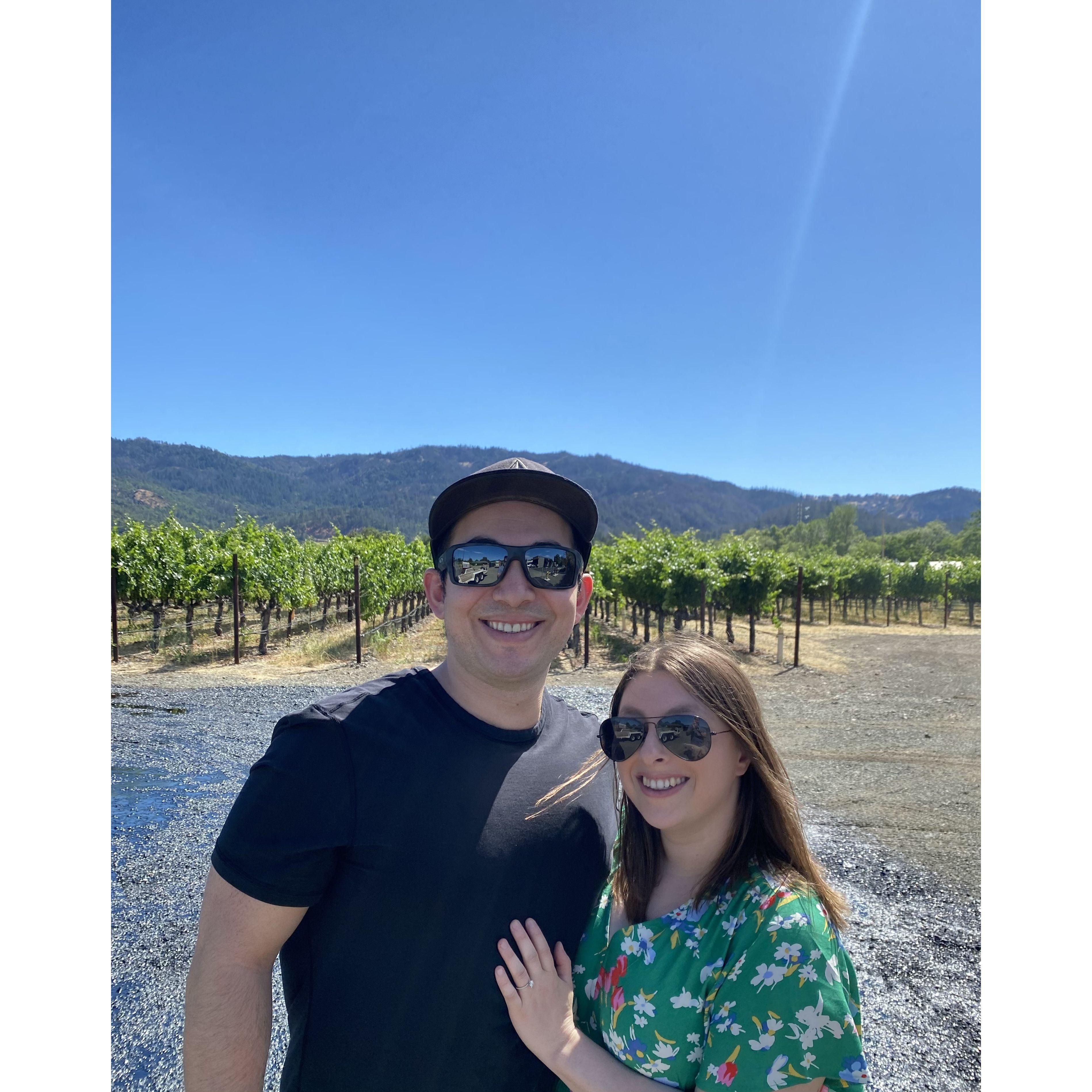 Wine tasting in St. Helena!