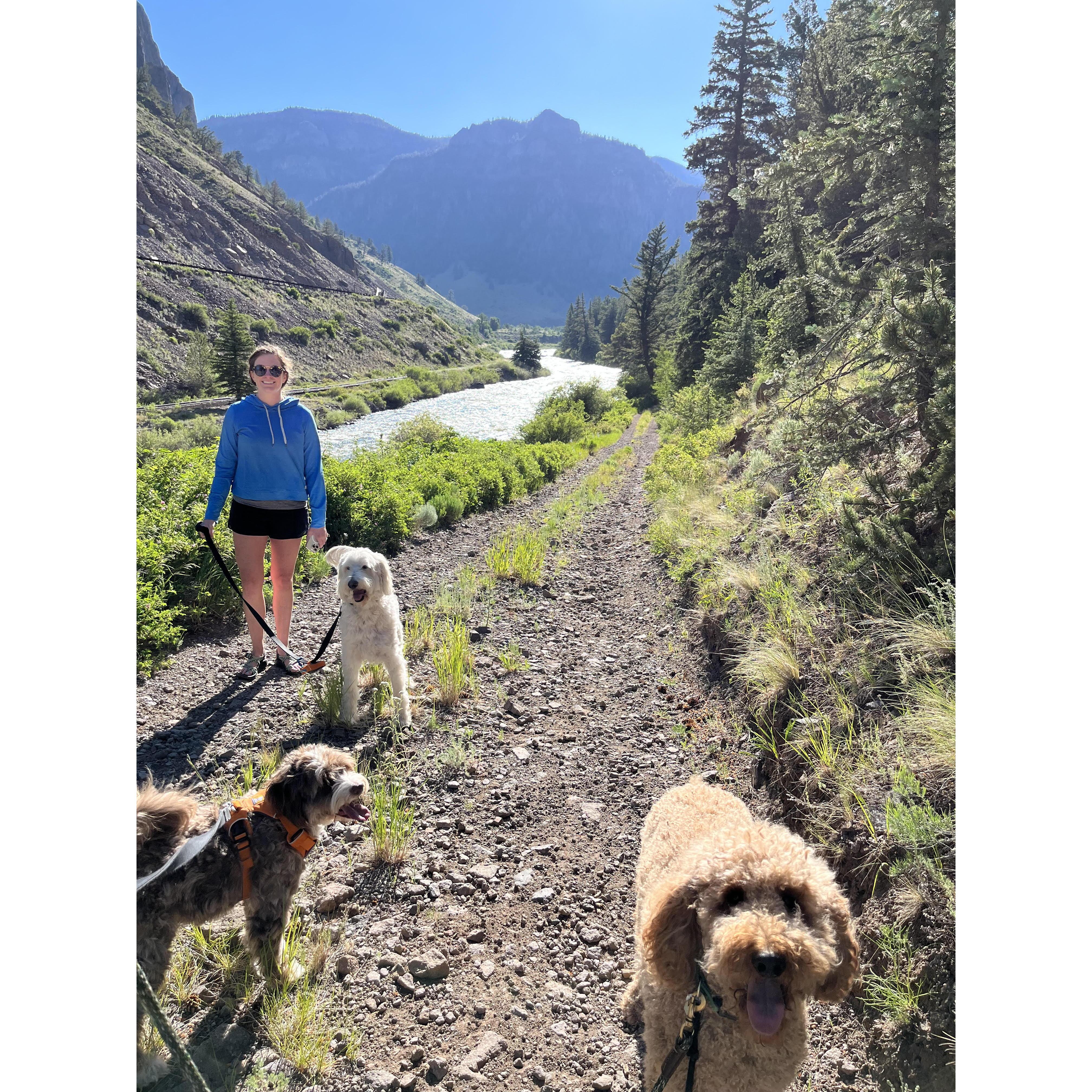 Last year we were lucky (or crazy) enough to bring all three dogs with us to Colorado!