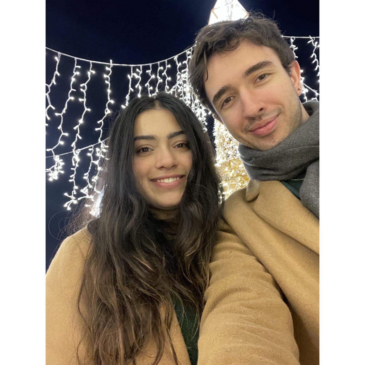 A trip to a Christmas light display in Washington DC