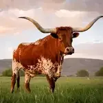 Fort Worth Stockyards Station