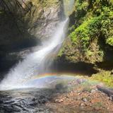 Jardín