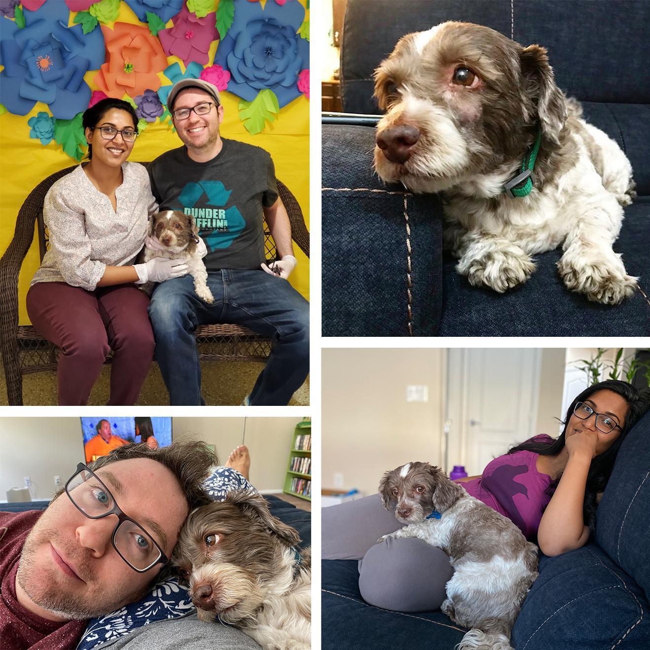Benji's Gotcha Day (4.6.2020) + Benji's first portrait + Dad and Benji + Mom and Benji