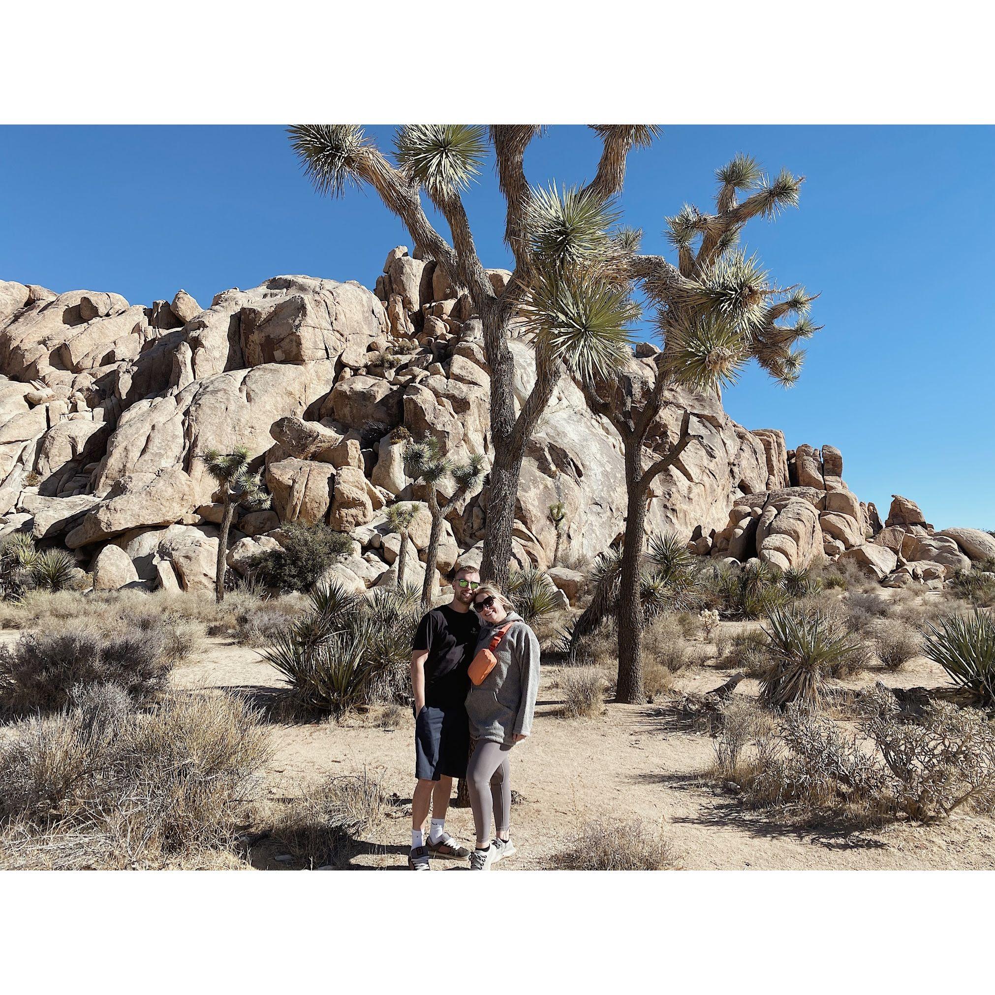 Joshua Tree - November 2021