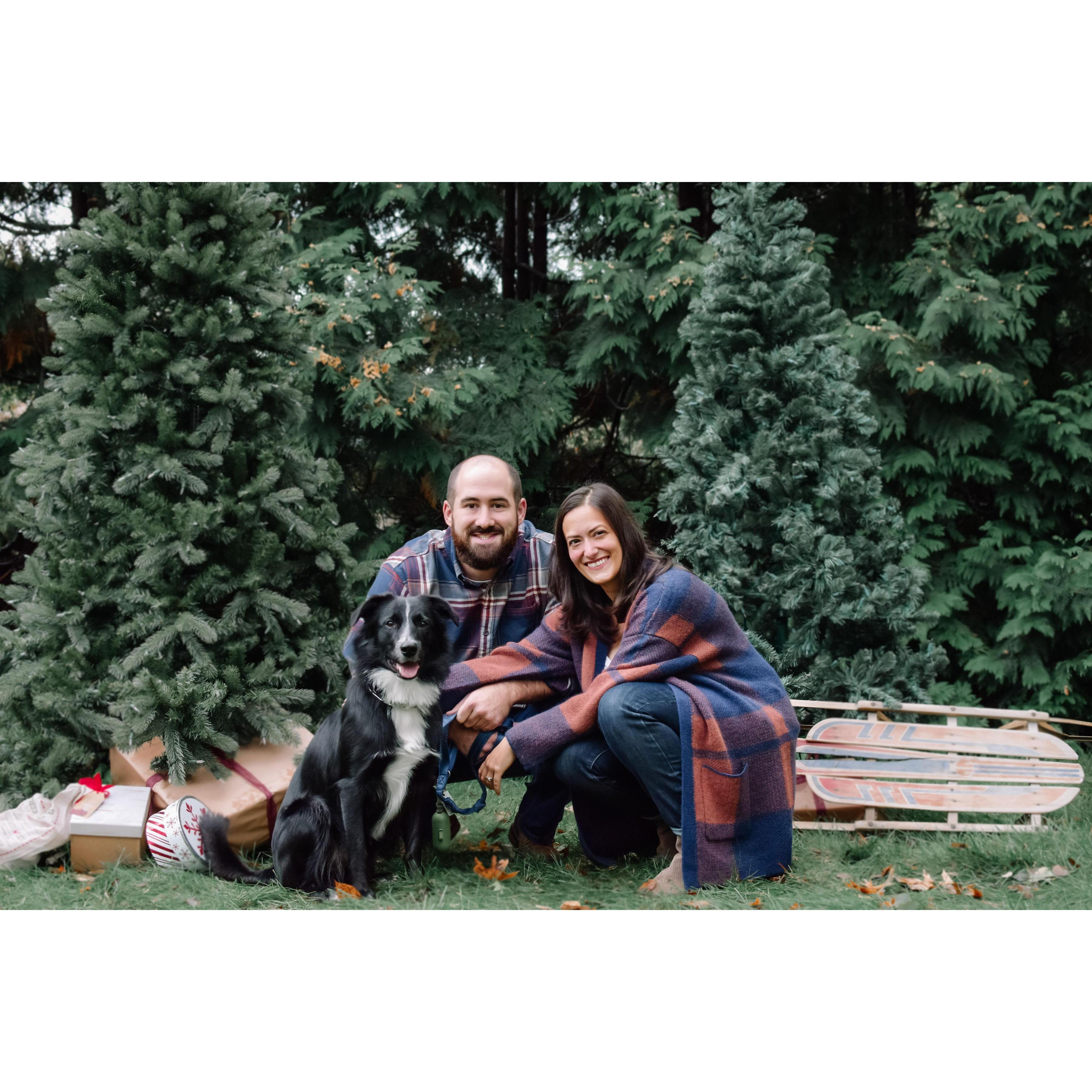 Our first OFFICIAL family pictures with Tucker