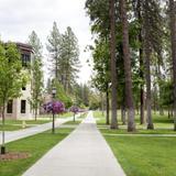 Whitworth University