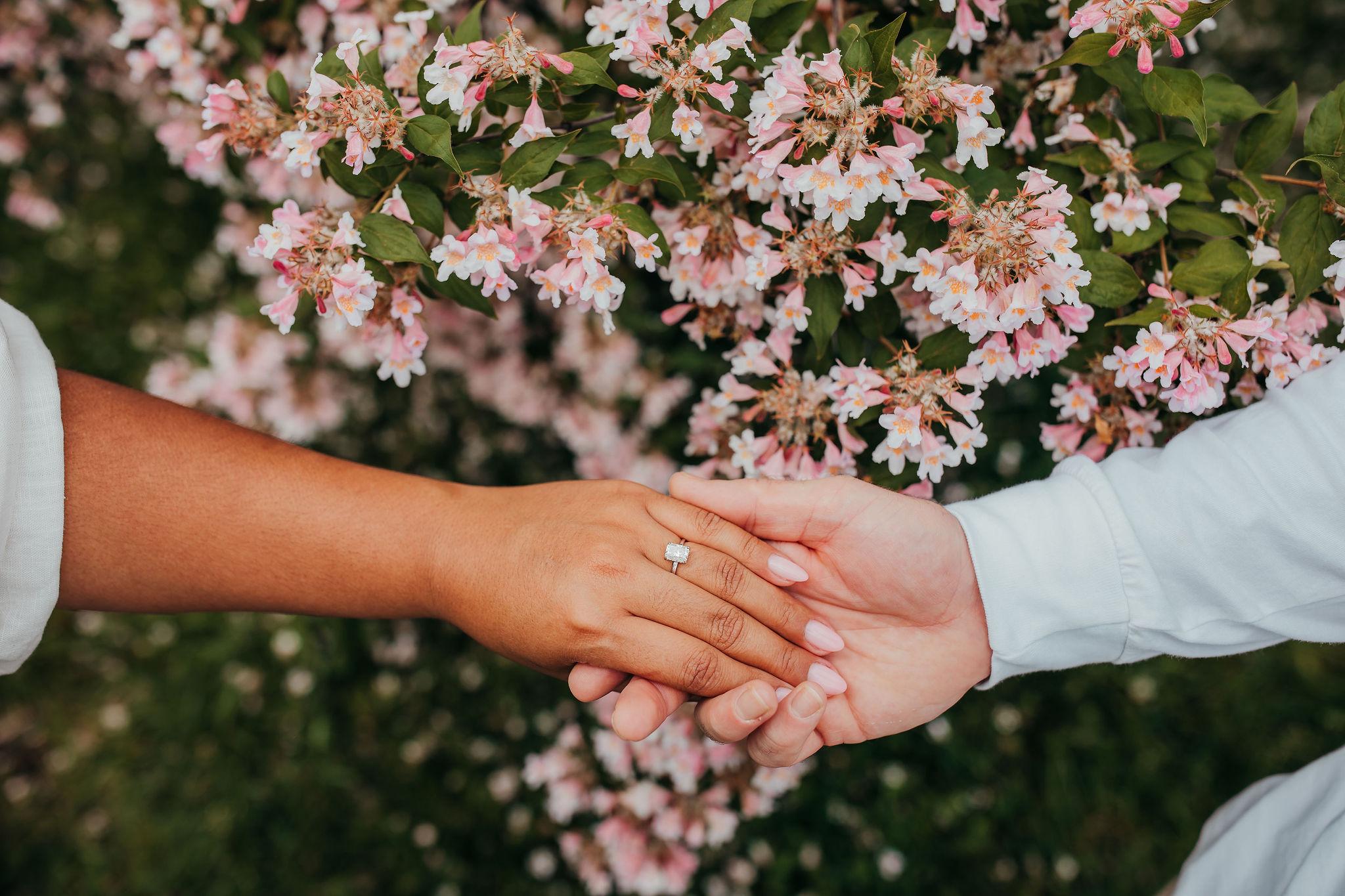 The Wedding Website of Ashley Dancoe and Austin Roland