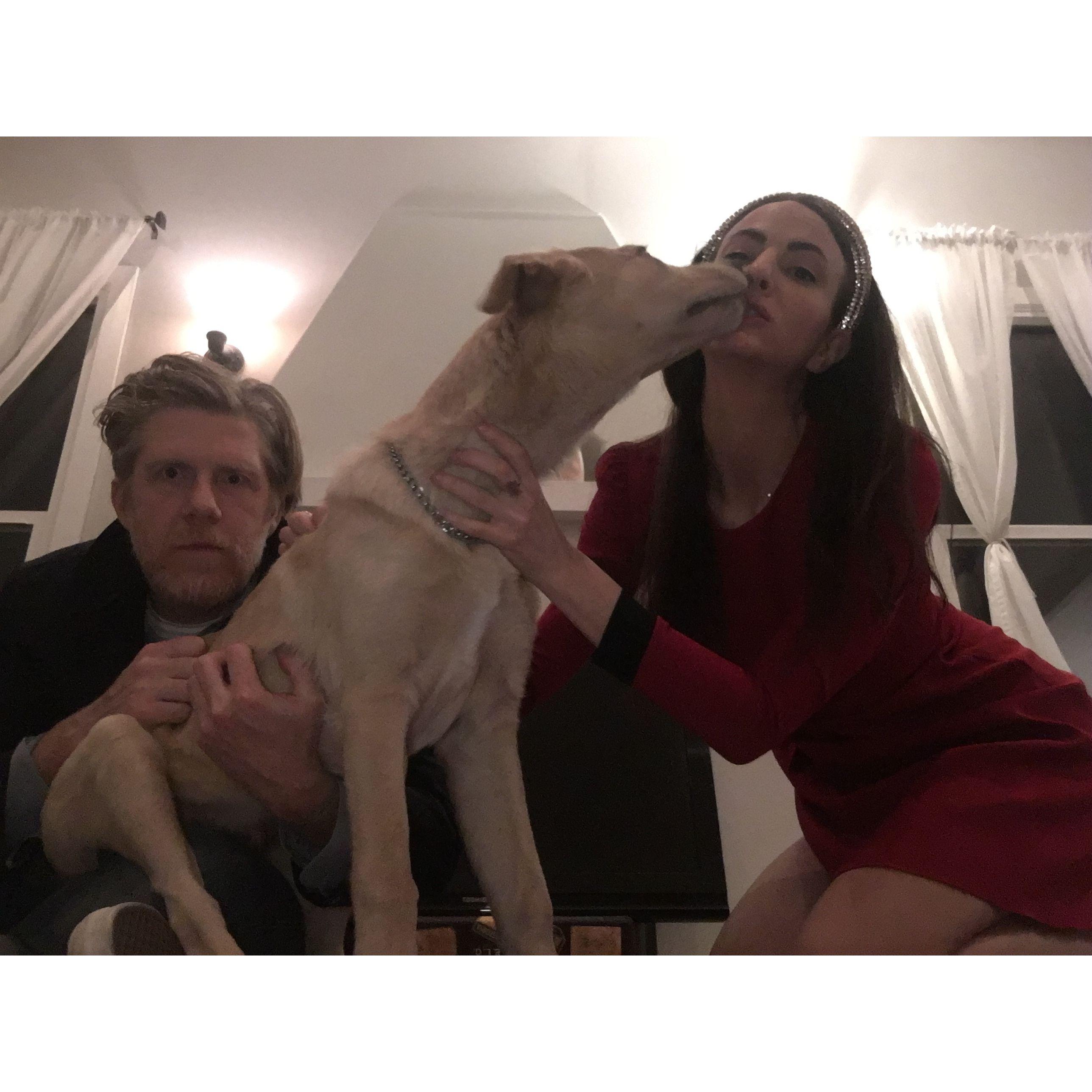Valentine's Day family photo shoot - where are the cats?!
