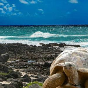 honeymoon trip to the galapagos